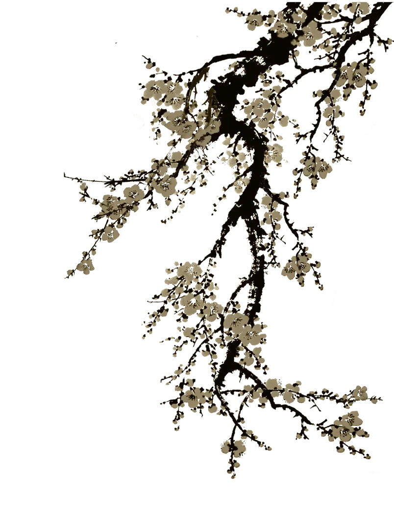 Subarashii blossom illustration